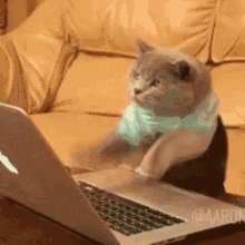 dog typing on computer while laying down